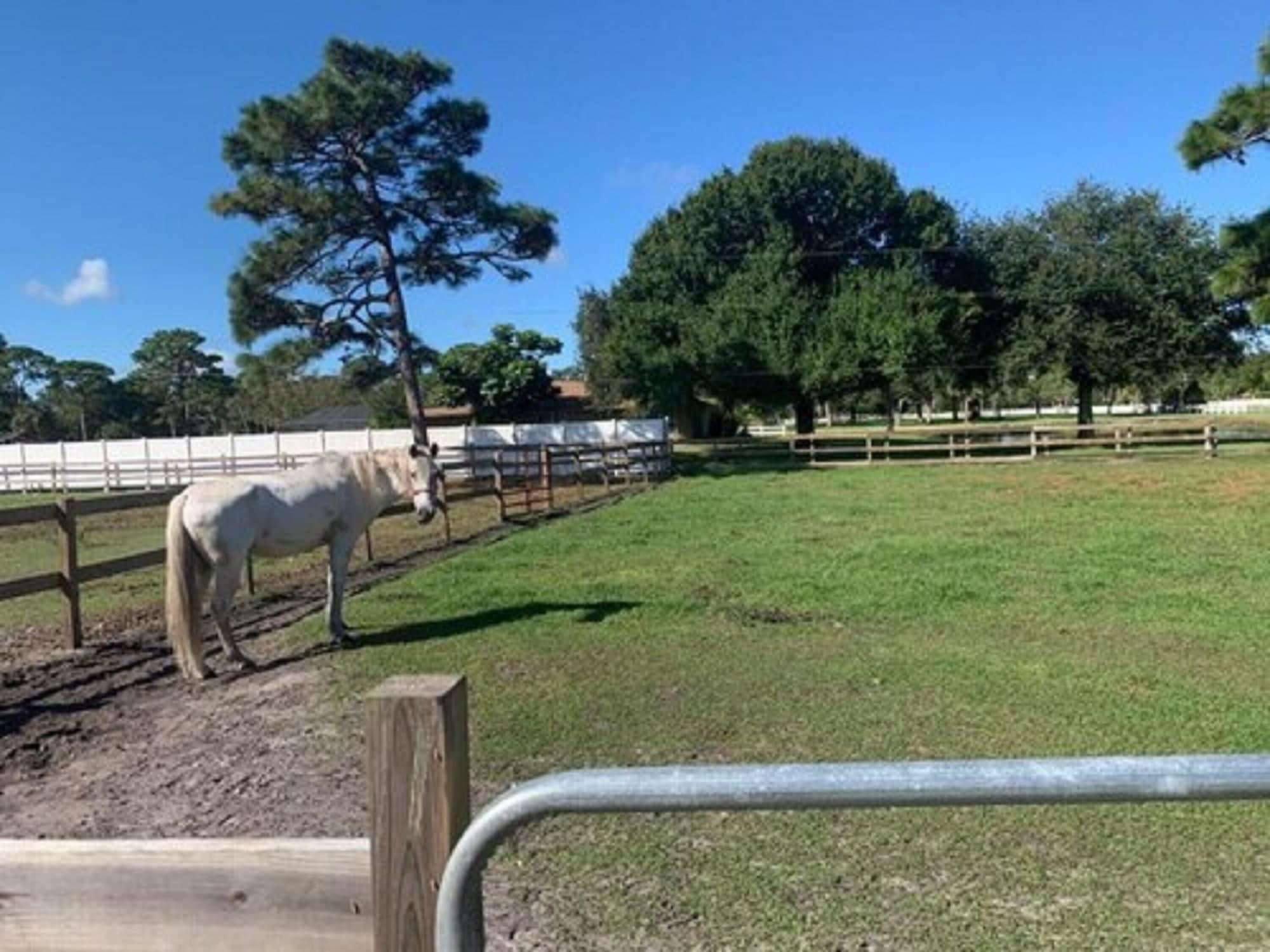 Oyo Family Ranch At Melbourne Fl 호텔 외부 사진